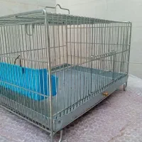 آبچکان|آبچکان و نظمدهنده ظروف|خرمآباد, |دیوار