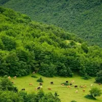 تور دو روزه آبشار ریوو گیلان امکانات کمپ