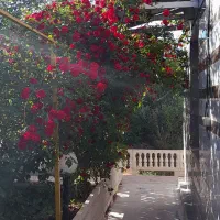 ویلا-باغ-سندملکیت-تک-برگ-زیر-دوساعت-تا-تهران