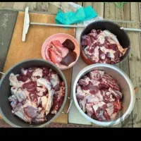 فروش گوسفند زنده سراسر تهران باقصاب درمحل