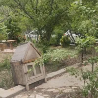 زمین-کشاورزی-روستای-نوبهار-تفرش