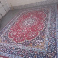 فرش ۴×۳|فرش|تربت‌حیدریه, پائین ولایت|دیوار