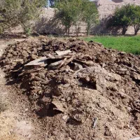 سلام کوده
