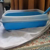 ظرف خاک و خاک گربه