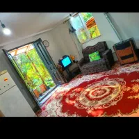 اجاره-سوئیت-تمیز-و-جنگلی-قیمت-منصفانه