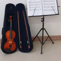 ویلن