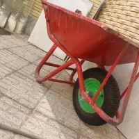 فرغون بدون رنگ