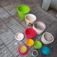 همه گلدانهاسالم بازیرگلدانی