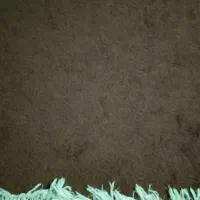 موکت پالاز