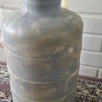خیار شور محلی کیلویی۱۱۰