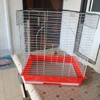 قفس پرنده
