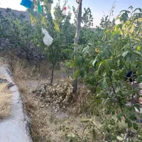 خانه ویلایی
