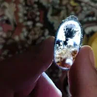 پلاک شجر درحد