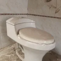 اونیکس فرنگی