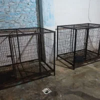 قفس پانسیونی برای ژرمن ،چاوچاو،ونژاد کوچیک