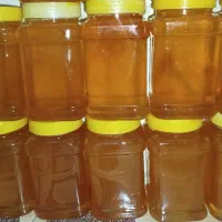 عسل بهاره کیفیت عالی
