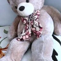 خرس جنس خارجی