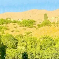 فروش-زمین