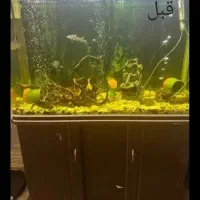 انواع خدمات،نصب،سرویس، و تعویض آب آکواریوم