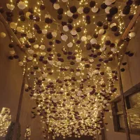 برقکار حرفه ای
