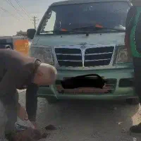 ون دلیکا