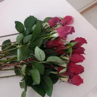 گل رز لمسی