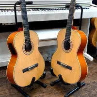 گیتار پیکاپدار petra EQ