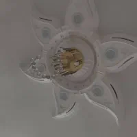 گچکاری خاش و اطراف پذیرفته میشود