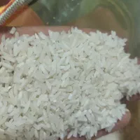 برنج راضیه