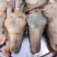پاک کردن کله پاچه سیرابی گوسفندگوساله