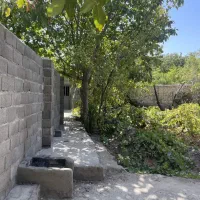 فروش-باغ-روستایی-سرسبز-طینوج