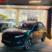 x33 cross 1403