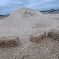 کاه گندم درجه یک