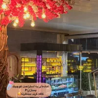 کار در آشپزخانه