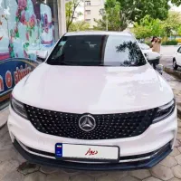دیگنیتی مدل ۴۰۲|خودرو سواری و وانت|تهران, آرژانتین|دیوار
