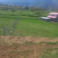 ۸۰۰ متر زمین فروشی