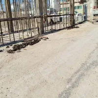 تمام کارهای بنایی پلاستر بنایی ارماتور بندی