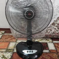 پنکه زمینی پنکه