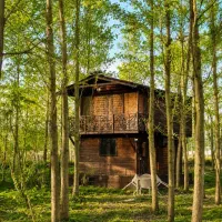 گریز از/تورم/با انتخابی هوشمندانه