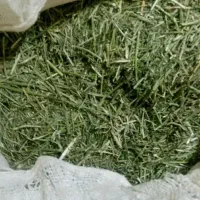 یونجه مخصوص خرگوش و خوکچه