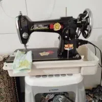 چرخ پدالی کله سیاه دو گل
