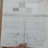 نیم-هکتار-بنجاق-پلاک-15-زمین-مشاع