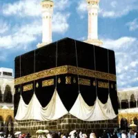 فروش دوعدد فیش عمره