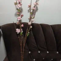 گل وارداتی