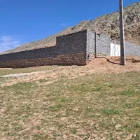 طرح دامداری بره در شباب با وام جهاد کشاورزی