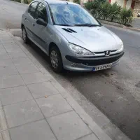 ۲۰۶تیپ دو بی رنگ استثنایی