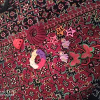 کش مو گیر