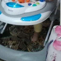 روروئک دلیجان در حد نو