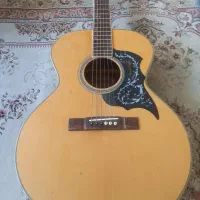 گیتار اگوستیک اریا