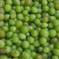 آبغوره